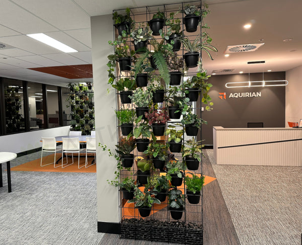 Artificial Greenery Walls for Hire Perth