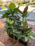 Artificial Mixed Plants in Planter Box 150cm Tall (used as divider) | ARTISTIC GREENERY