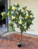 CT009A Frangipani Tree 190cm Tall