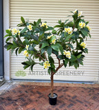 CT009B Artificial Frangipani Tree 185cm Tall | ARTISTIC GREENERY