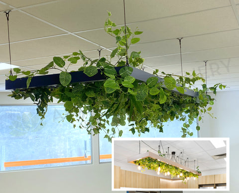 Drager (Balcatta) - Artificial Hanging Greenery Ceiling Suspended Meshed Panel | ARTISTIC GREENERY