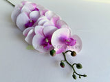 F0235-S91 Phalaenopsis Orchid 93cm Pink & White