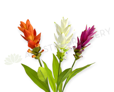 F0477 Ginger Flower 73cm Orange / White / Purple | ARTISTIC GREENERY