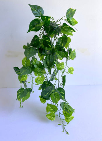 HP0085 Faux Hanging Golden Pothos 80cm | ARTISTIC GREENERY – Artistic ...