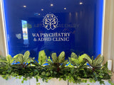 WA Psychiatry & ADHD Clinic (East Perth) - Artificial Plants for Planters | ARTISTIC GREENERY