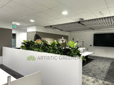 State Health Operations Centre (Perth CBD)- Artificial Plants for Tambour Units and Planters | ARTISTIC GREENERY