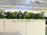 Estrin Saul Migration Specialists (Perth CBD)- Artificial Plants for Tambour Units | ARTISTIC GREENERY