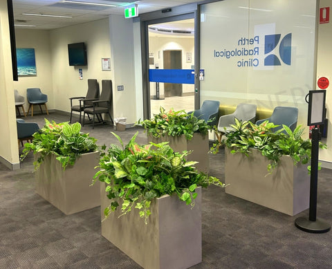 Perth Radiological Clinic (Wexford) - Artificial Plants & Planter Boxes | ARTISTIC GREENERY