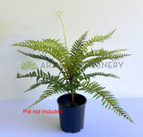 SP0386-S92 Artificial Boston Fern 46cm Real Touch Quality | ARTISTIC GREENERY