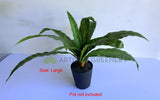 SP0455 Artificial Bird's Nest Fern Availalbe in 2 Sizes | ARTISTIC GREENERY