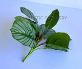 SP0458 Artificial SP0458 Calathea Orbifolia Plant 33cm | ARTISTIC GREENERY
