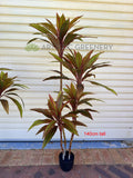 T0184 Faux Cordyline Fruticosa Tree / Ti Plant 140cm | 170cm | ARTISTIC GREENERY