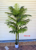 T0185 Artificial Cabada Palm 180cm / 210cm | ARTISTIC GREENERY