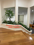 Home Interior Design and Installation (Stirling WA) - Planter nex to stairs | ARTISTIC GREENERY