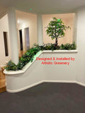 Home Interior Design and Installation (Stirling WA) - Planter nex to stairs | ARTISTIC GREENERY