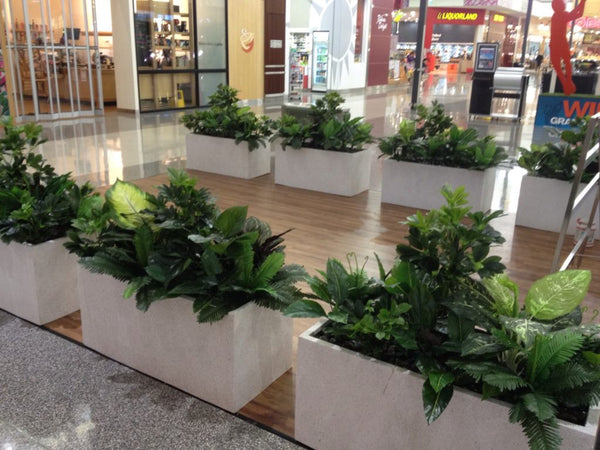 Artificial plants for planter boxes at Gloria Jeans cafe inside ...