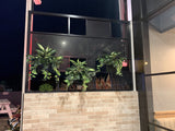 TGI Fridays Whitford- Artificial Plants for Display / Planter Shelves | ARTISTIC GREENERY