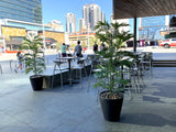 The Shoe Bar Cafe - Hanging Centrepieces & Artificial Plants for Cafe