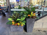 The Shoe Bar Cafe - Hanging Centrepieces & Artificial Plants for Cafe