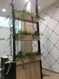 ProfessioNAIL Nail Salon Carousel - Hanging Greenery for Built-in Shelves