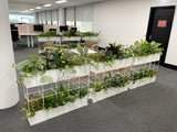 Metso Outotect (West Perth) - Artificial Plants for Freestanding & Built-in Planters Throughout the Office | ARTISTIC GREENERY