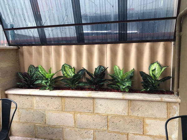 Silk Plants for Restaurant Alfresco Area - Northbridge Quality ...