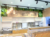 T4 Bubble Tea (Victoria Park) - Feature Wall & Potted Plants for Shelves