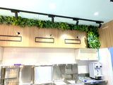 T4 Bubble Tea (Victoria Park) - Feature Wall & Potted Plants for Shelves