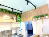 T4 Bubble Tea (Victoria Park) - Feature Wall & Potted Plants for Shelves