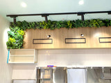 Feature greenery wall behind counter | ARTISTIC GREENERY