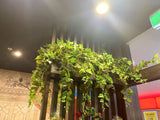 Shen's Massage (Meville)  - Hanging Greenery for Built-in Planters