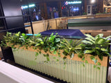 Sushi Sushi (Midland) - Mixture of Greenery for Built-in Planters | ARTISTIC GREENERY