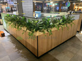 Sushi Sushi (Midland) - Mixture of Greenery for Built-in Planters | ARTISTIC GREENERY