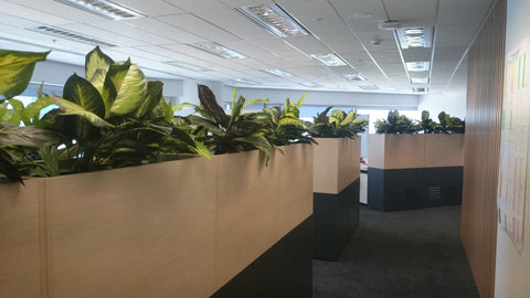 Cubicle Accessories  Cubicle Planter Partition