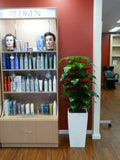 The WA Group Training Scheme Inc - Plants for Receptions & Offices