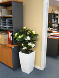 The WA Group Training Scheme Inc - Plants for Receptions & Offices