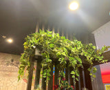 Shen's Massage (Meville)  - Hanging Greenery for Built-in Planters